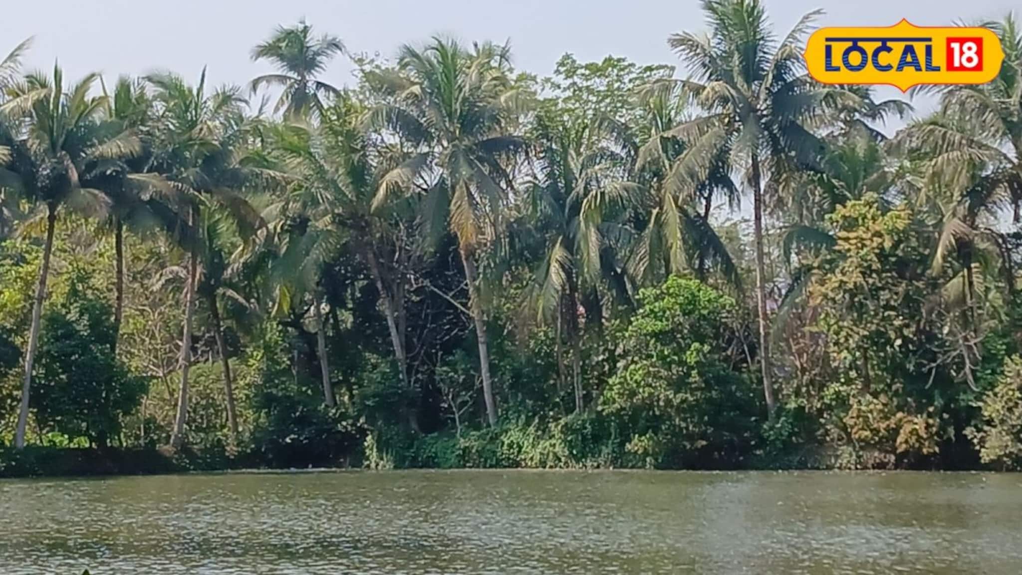 হাওড়ার কলকারখানার দূষণের মাঝেই একটুকরো স্বর্গ! পর্যটকদের নতুন ‘হটস্পট’