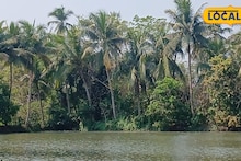 Day Trip: হাওড়ার কলকারখানার দূষণের মাঝেই একটুকরো স্বর্গ! পর্যটকদের নতুন ‘হটস্পট’, ছুটির দিনে ভিড় জমছে এই নদীপাড়ে