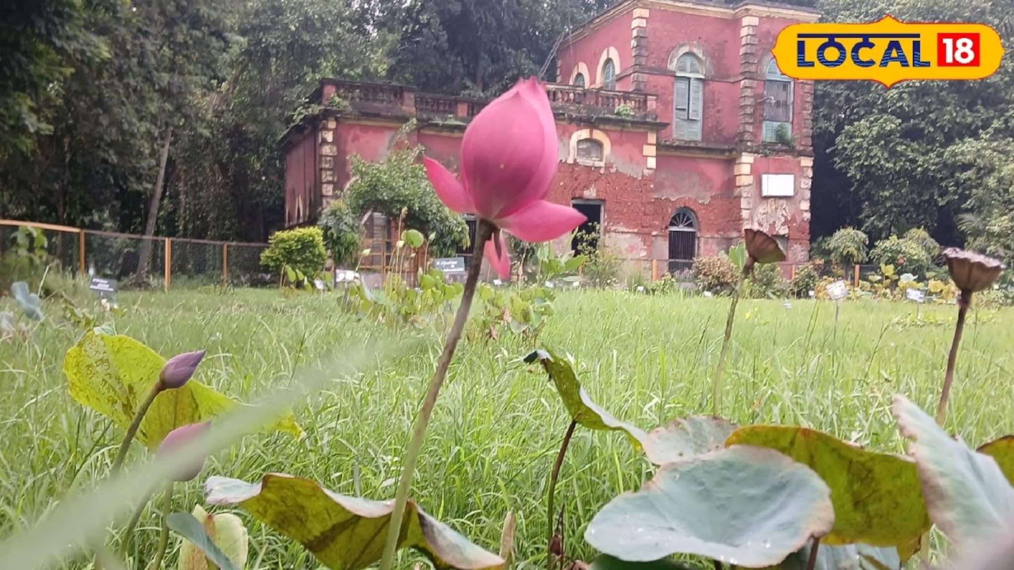 Botanical Garden: সামান্য ভুলেই পকেট হতে পারে গড়ের মাঠ, বোটানিক্যাল গার্ডেনে এইসব কাজ করলে মোটা জরিমানা! যাওয়ার আগে জেনে নিন