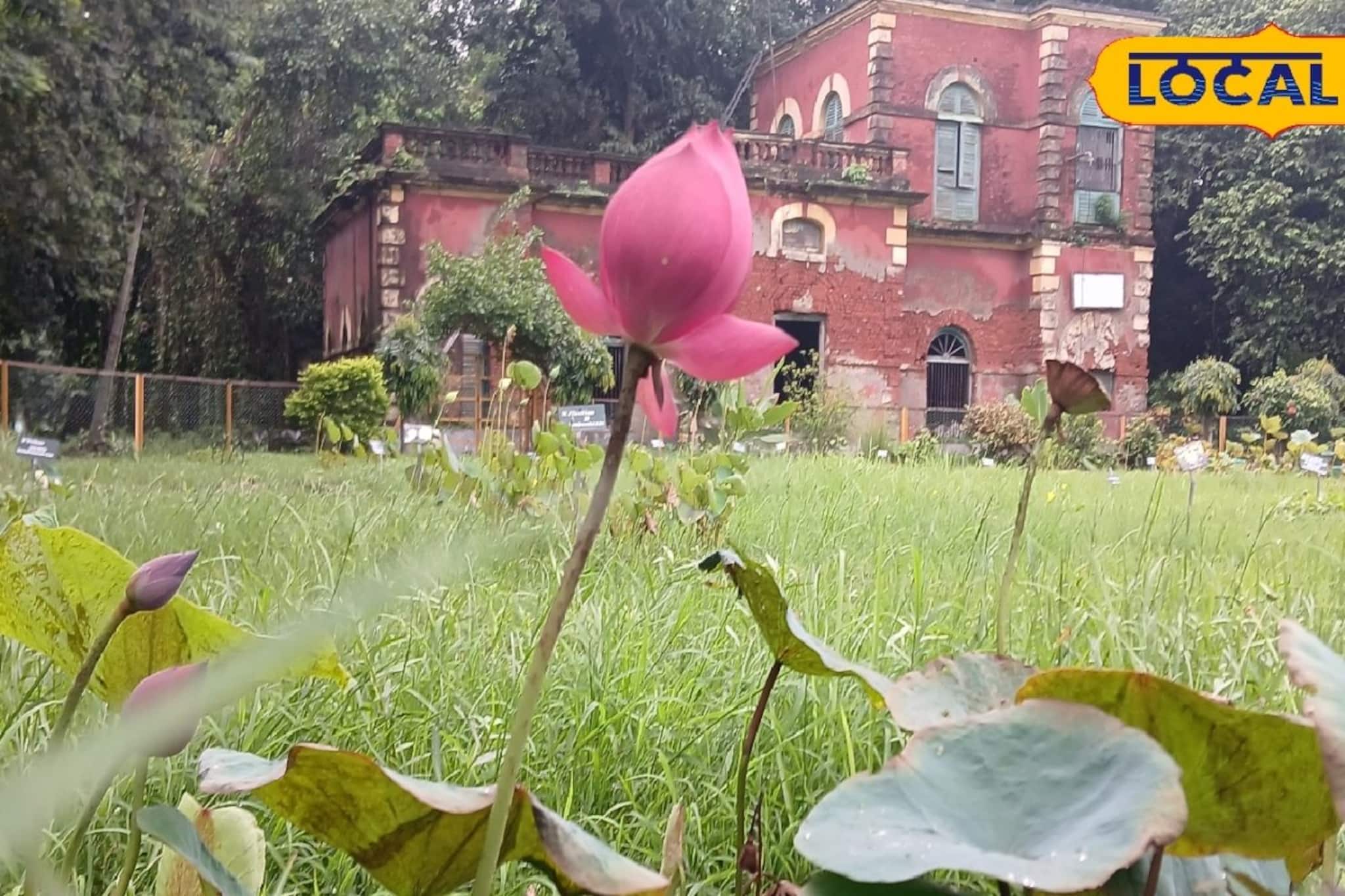 সামান্য ভুলেই পকেট হতে পারে গড়ের মাঠ, বোটানিক্যাল গার্ডেনে এইসব কাজ করলে মোটা জরিমানা