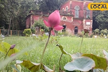 Botanical Garden: সামান্য ভুলেই পকেট হতে পারে গড়ের মাঠ, বোটানিক্যাল গার্ডেনে এইসব কাজ করলে মোটা জরিমানা! যাওয়ার আগে জেনে নিন