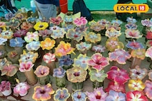 Howrah News: গার্লফ্রেন্ডকে গোলাপ দেওয়ার কথা ভুলে যাবেন, জবার এমন সৌন্দর্য্য দেখে মন গলে যাবে প্রেয়সীর! না দেখলে চরম মিস