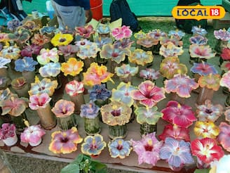 গার্লফ্রেন্ডকে গোলাপ দেওয়ার কথা ভুলে যাবেন, জবার এমন সৌন্দর্য্য দেখে মন গলে যাবে প্রেয়সীর