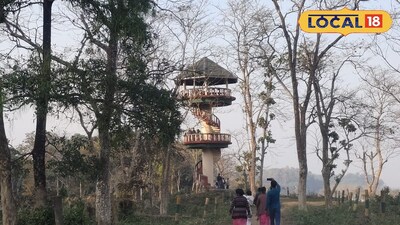 গরুমারা জঙ্গলের টাওয়ার