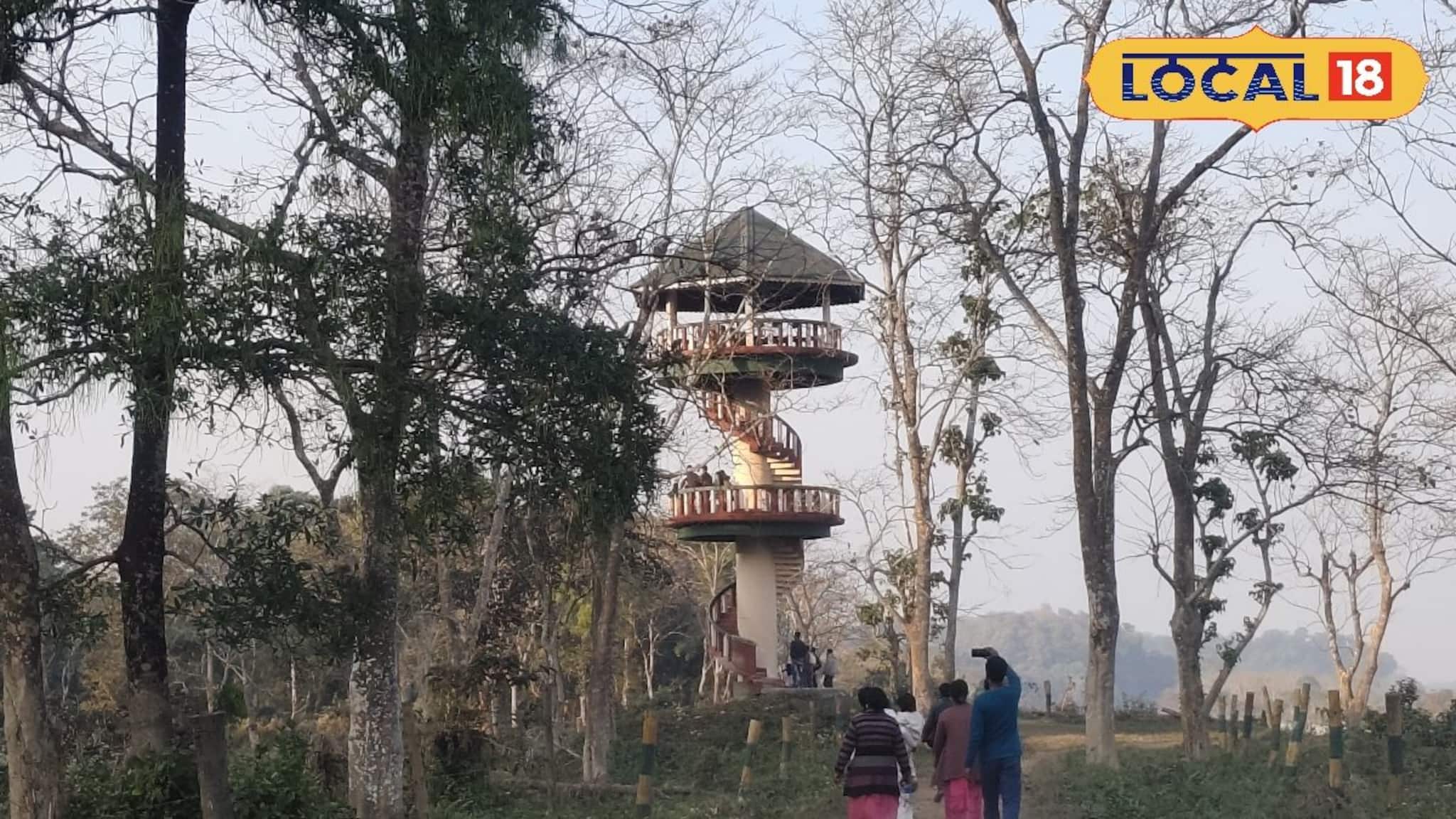 Jalpaiguri Tourism: উত্তরবঙ্গের এই ৫ ওয়াচ টাওয়ার যেন প্রকৃতির জানালা! ঘুরতে যাওয়ার আগে তালিকায় রাখুন নামগুলি, জানুন ঠিকানা