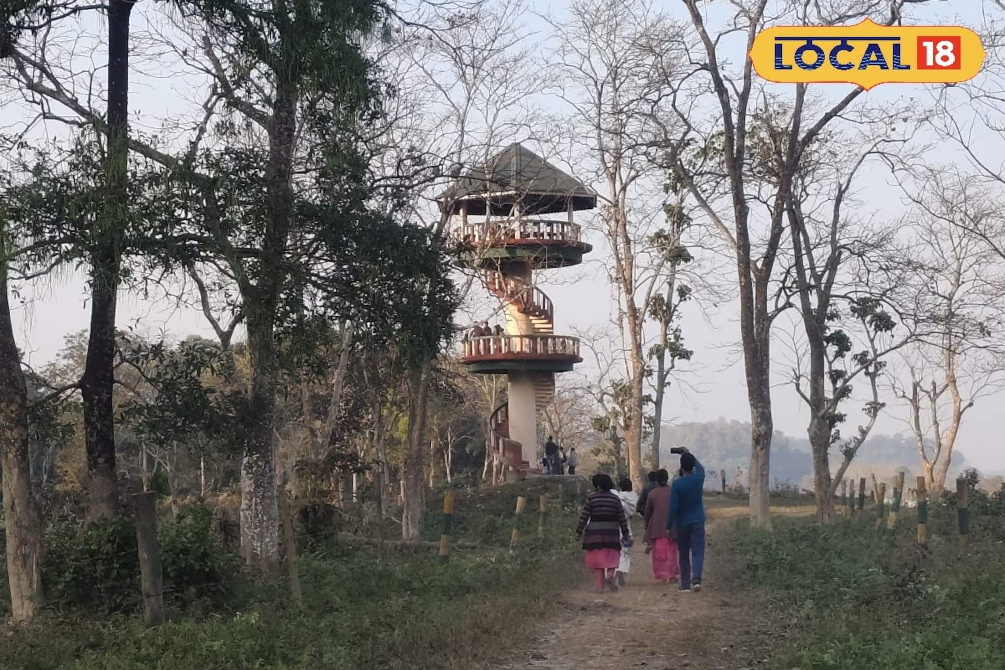 উত্তরবঙ্গের এই ৫ ওয়াচ টাওয়ার যেন প্রকৃতির জানালা! ঘুরতে যাওয়ার আগে তালিকায় রাখুন নামগুলি