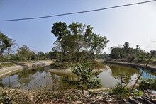 Jalpaiguri News: কোটি টাকার প্রকল্প এখন আগাছায় ঢাকা, বোটিং থেকে ক্যাফেটেরিয়া রয়ে গেল স্বপ্ন! গ্রিন সিটি পার্ক আজও অধরা