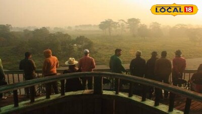 চলতি বছরে গরুমারায় বাড়ছে পর্যটকদের ভিড়