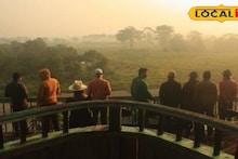 Gorumara National Park: সবুজের হাতছানিতে উপচে পড়ছে ভিড়, গরুমারায় পর্যটকদের রেকর্ড ভাঙা উপস্থিতি! ঘরে ঘরে বুকিং ফুল, ব্যবসায় খুশির জোয়ার