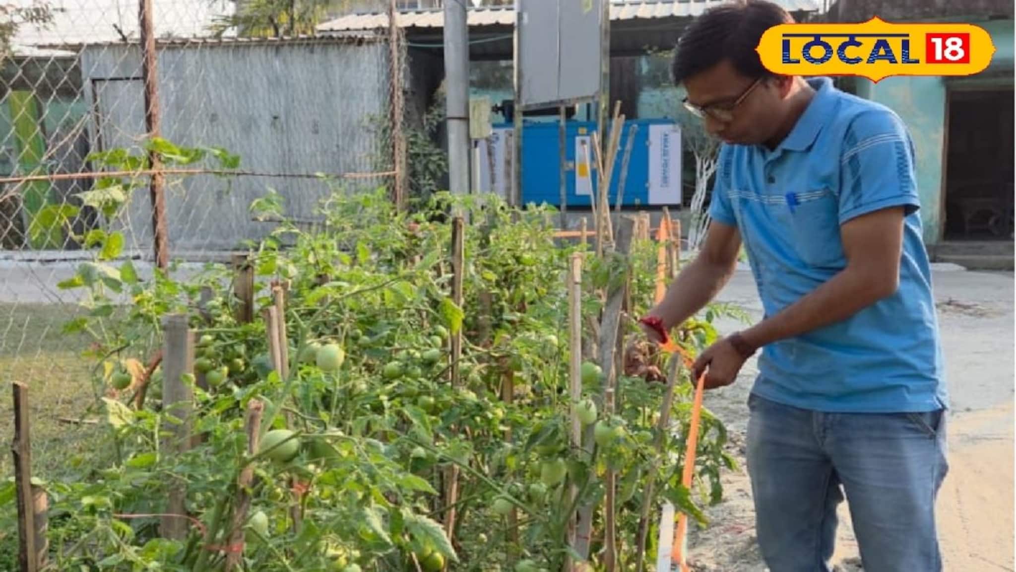 পরিত্যক্ত জমি এখন সবুজে ভরা, রান্নাঘরে প্রতিদিন আসছে টাটকা শাকসবজি! খুদে কৃষকদের কেরামতি