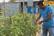 Kitchen Garden: পরিত্যক্ত জমি এখন সবুজে ভরা, রান্নাঘরে প্রতিদিন আসছে টাটকা শাকসবজি! বাজিমাত করছে একঝাঁক খুদে কৃষক