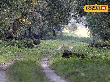 উত্তরবঙ্গের এই ৫ ওয়াচ টাওয়ার যেন প্রকৃতির জানালা! ঘুরতে যাওয়ার আগে তালিকায় রাখুন নামগুলি