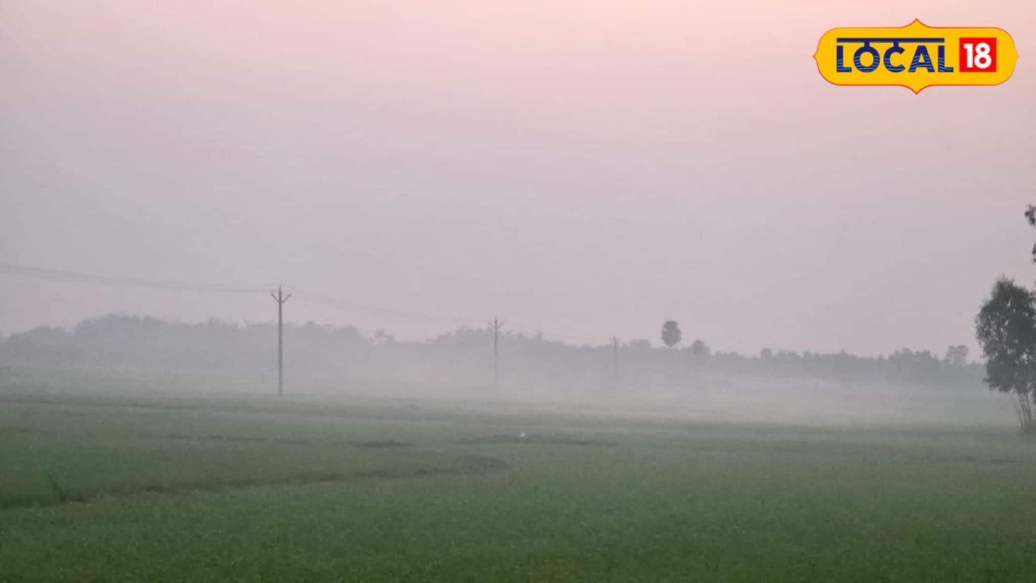 IMD Jhargram Weather Update: বজ্রবিদ্যুৎ-সহ বৃষ্টির ভ্রুকুটির মাঝেই কুয়াশায় ঢাকল ঝাড়গ্রাম, আবহাওয়ায় ব্যাপক বদল! কী হতে চলেছে জেলায় জানালো হাওয়া অফিস