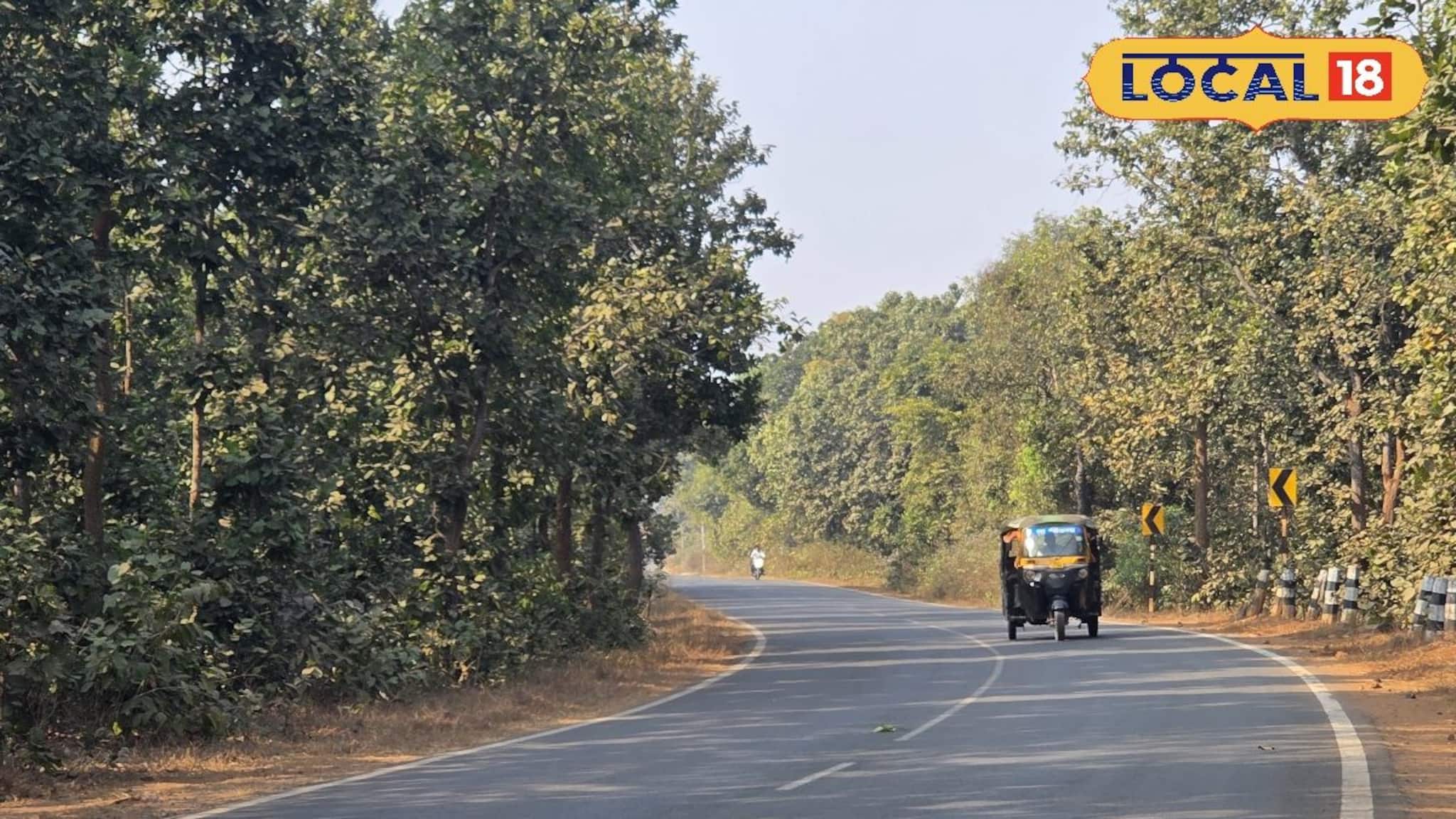 IMD Weather Update: দক্ষিণবঙ্গে পারদ পতন হলেও উল্টো সুর ঝাড়গ্রামে! কী হতে চলেছে জেলায়! এসে গেল আলিপুর আবহাওয়া দফতরের মেগা আপডেট