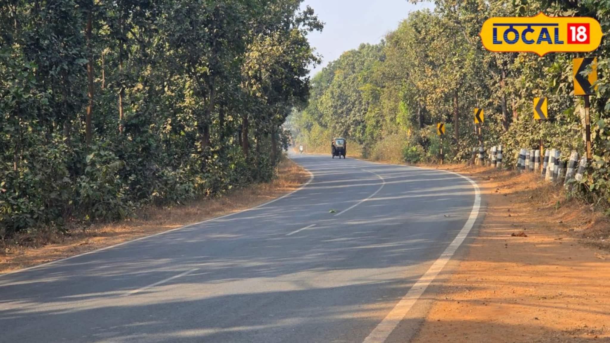 IMD Jhargram Weather Update: রোদ ঝলমলে আবহাওয়া, ঠান্ডা নেই বললেই চলে! কেমন থাকবে ঝাড়গ্রামের আবহাওয়া জানালো হাওয়া অফিস