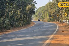 IMD Jhargram Weather Update: রোদ ঝলমলে আবহাওয়া, ঠান্ডা নেই বললেই চলে! কেমন থাকবে ঝাড়গ্রামের আবহাওয়া জানালো হাওয়া অফিস