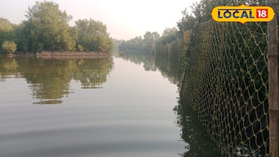 ঝড়খালিতে বাঘ ধরার চেষ্টায় মরিয়া বন দফতর