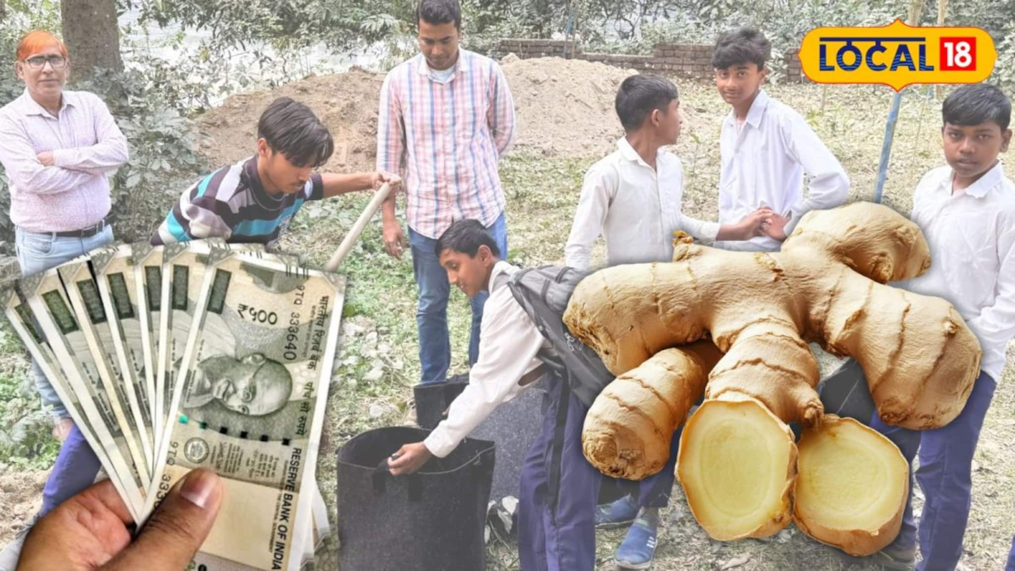 Agriculture News: চাহিদা তুঙ্গে, খরচ নামমাত্র! বাড়িতেই আদা চাষে আয়ের নয়া দিশা, হাতেকলমে গোপন কৌশল শিখল মালদহের পড়ুয়ারা Agriculture News: চাহিদা তুঙ্গে, খরচ নামমাত্র! বাড়িতেই আদা চাষে আয়ের নয়া দিশা, হাতেকলমে গোপন কৌশল শিখল মালদহের পড়ুয়ারা