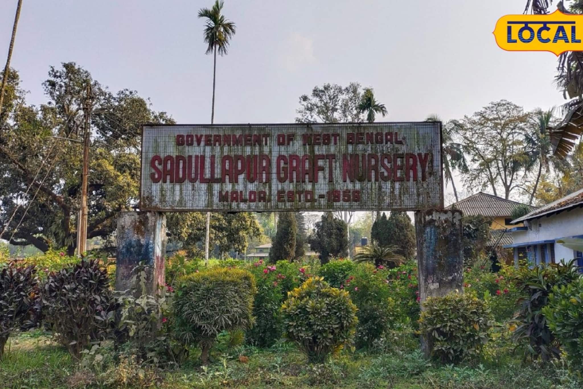 বন্ধ নার্সারিতে প্রাণ ফেরানোর প্ল্যান, মালদহের বেকার যুবক-যুবতীদের জন্য আসছে বিরাট সুখবর বন্ধ নার্সারিতে প্রাণ ফেরানোর প্ল্যান, মালদহের বেকার যুবক-যুবতীদের জন্য আসছে বিরাট সুখবর