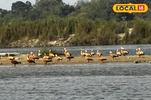 Weekend Trip: চুপি এখন অতীত! বর্ধমানেই হদিশ মিলল নতুন পাখিরালয়ের, সপ্তাহান্তে ঘুরে আসুন, মন ভরে যাবে গ্যারান্টি