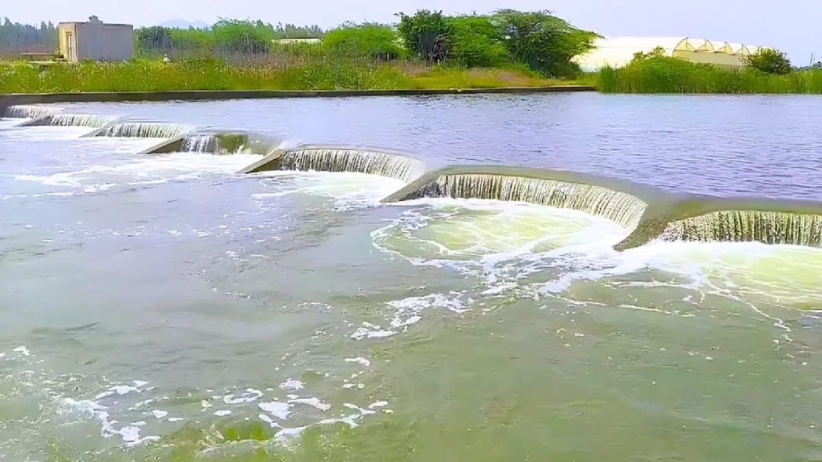 Milk River: দুধের নদী! রুপকথা নয়…ভারতে কোথায় আছে জানেন? ‘মিল্ক রিভার’ এ যুগেও প্রকৃতির বিস্ময়!