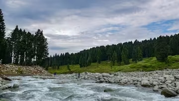 দুধের নদী! রুপকথা নয়...ভারতে কোথায় আছে জানেন? ‘মিল্ক রিভার’ এ যুগেও প্রকৃতির বিস্ময়! দুধের নদী! রুপকথা নয়...ভারতে কোথায় আছে জানেন? ‘মিল্ক রিভার’ এ যুগেও প্রকৃতির বিস্ময়!