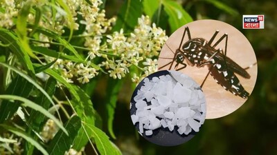 হেঁশেলের এইসব জিনিসেই হাতেনাতে ফল