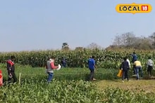 Murshidabad News: মুখ্যমন্ত্রীর উদ্যোগে বড় উপহার! কাঠা কাঠা জমির পাট্টা পেলেন মুর্শিদাবাদের ৫৪ পরিবার, কপাল খুলল কাদের