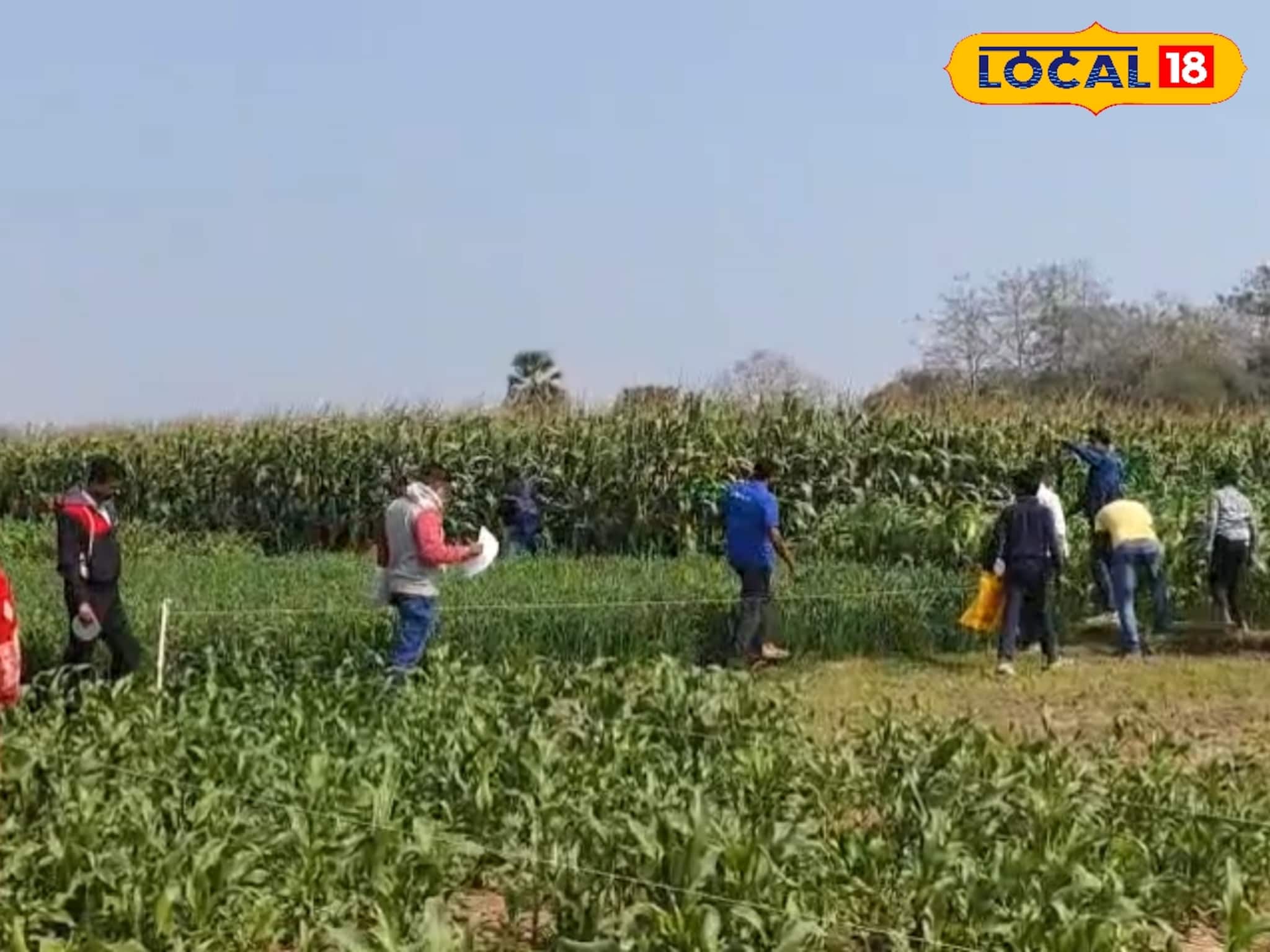 মুখ্যমন্ত্রীর উদ্যোগে বড় উপহার! কাঠা কাঠা জমির পাট্টা পেলেন মুর্শিদাবাদের ৫৪ পরিবার