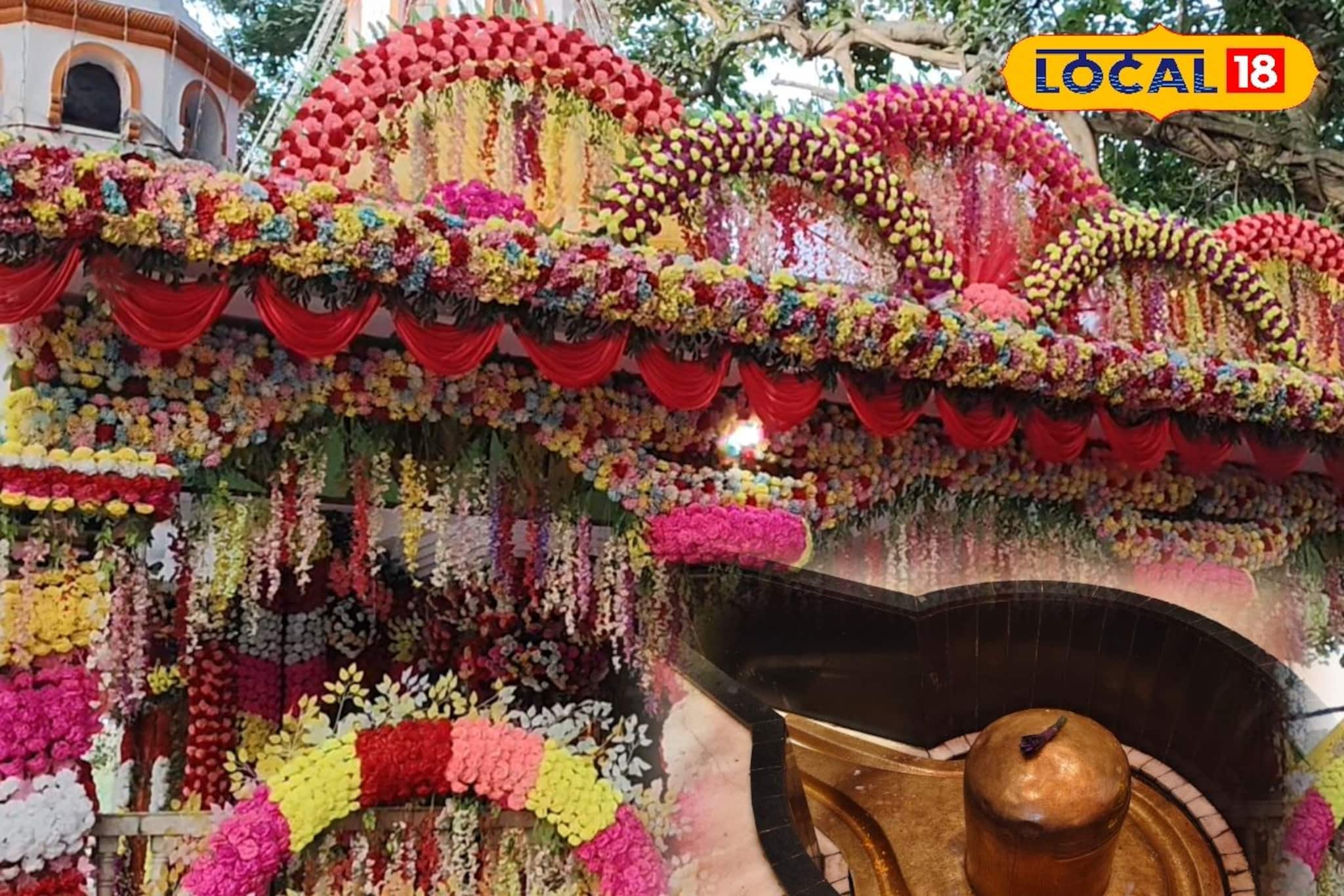 কখন পাতালেশ্বর মন্দিরে হবে অভিষেক? শিবরাত্রির আগেই ভক্তদের জন্য সময়সূচী দিয়ে দিল কমিটি