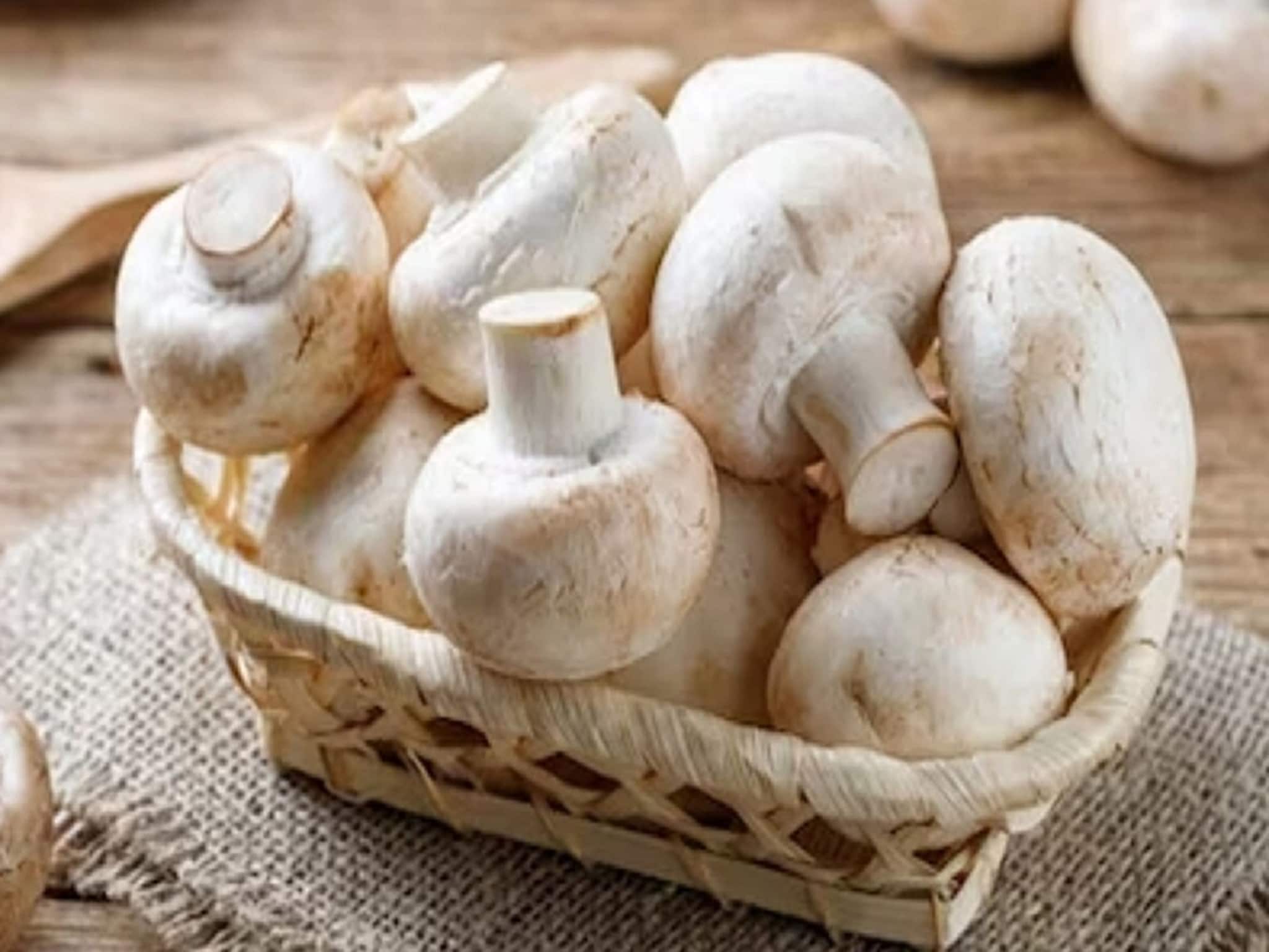 ১০০ টাকার পুঁজিতেই ভাগ্যবদল! রান্নাঘরেই শুরু Mushroom Farming