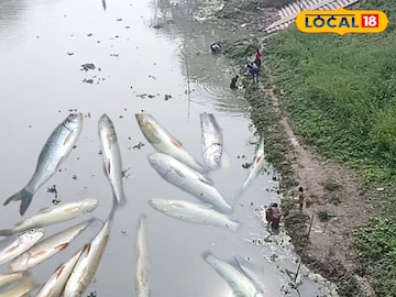 মাথাভাঙা