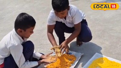 দোলযাত্রার আগে ভেষজ রঙ বানাতে ব্যস্ত ছাত্ররা