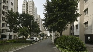 ডায়েরিয়ার ভয়াবহ প্রকোপ