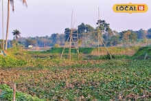 North 24 Parganas News: নদী না কচুরিপানার জঙ্গল ধরতে পারবেন না, অথচ বর্ষা এলেই কাঁদিয়ে ছাড়ে মানুষকে! লাটে ওঠে জীবনযাত্রা