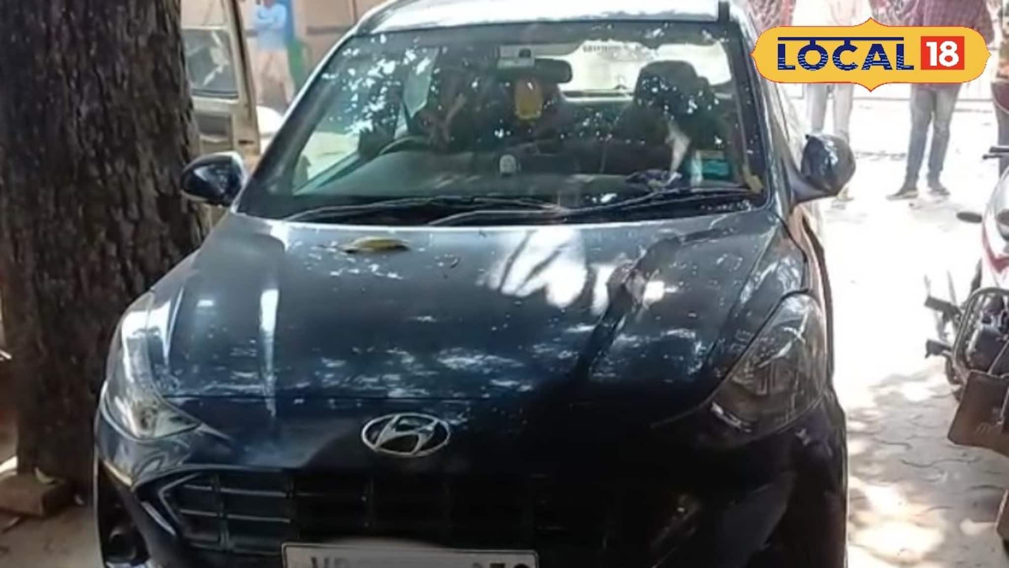 দামি গাড়িতে চলছিল কচ্ছপ পাচার, গোপন অভিযান চালিয়ে হাতেনাতে ধরল পুলিশ