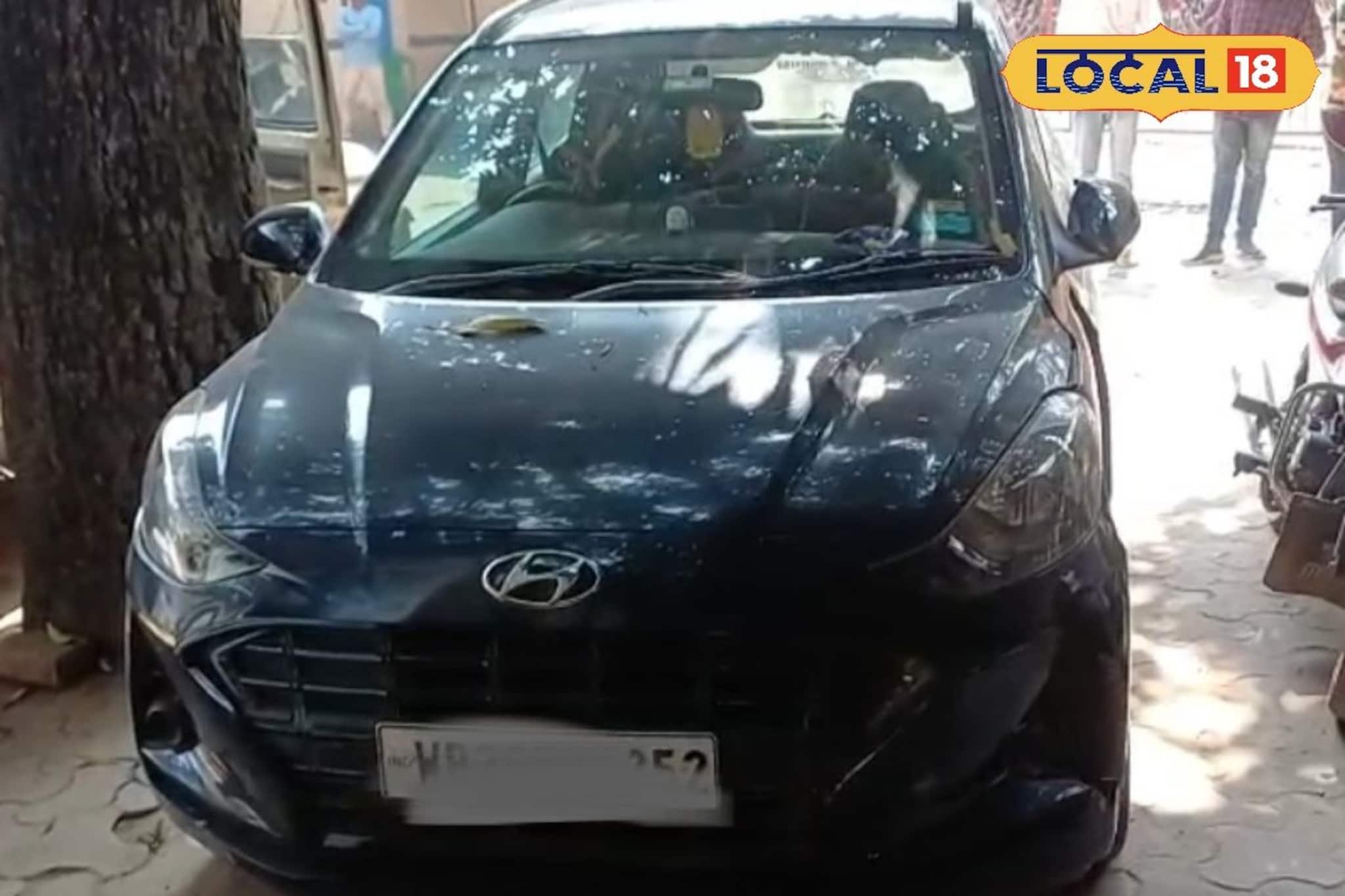 দামি গাড়িতে চলছিল কচ্ছপ পাচার, গোপন অভিযান চালিয়ে হাতেনাতে ধরল পুলিশ