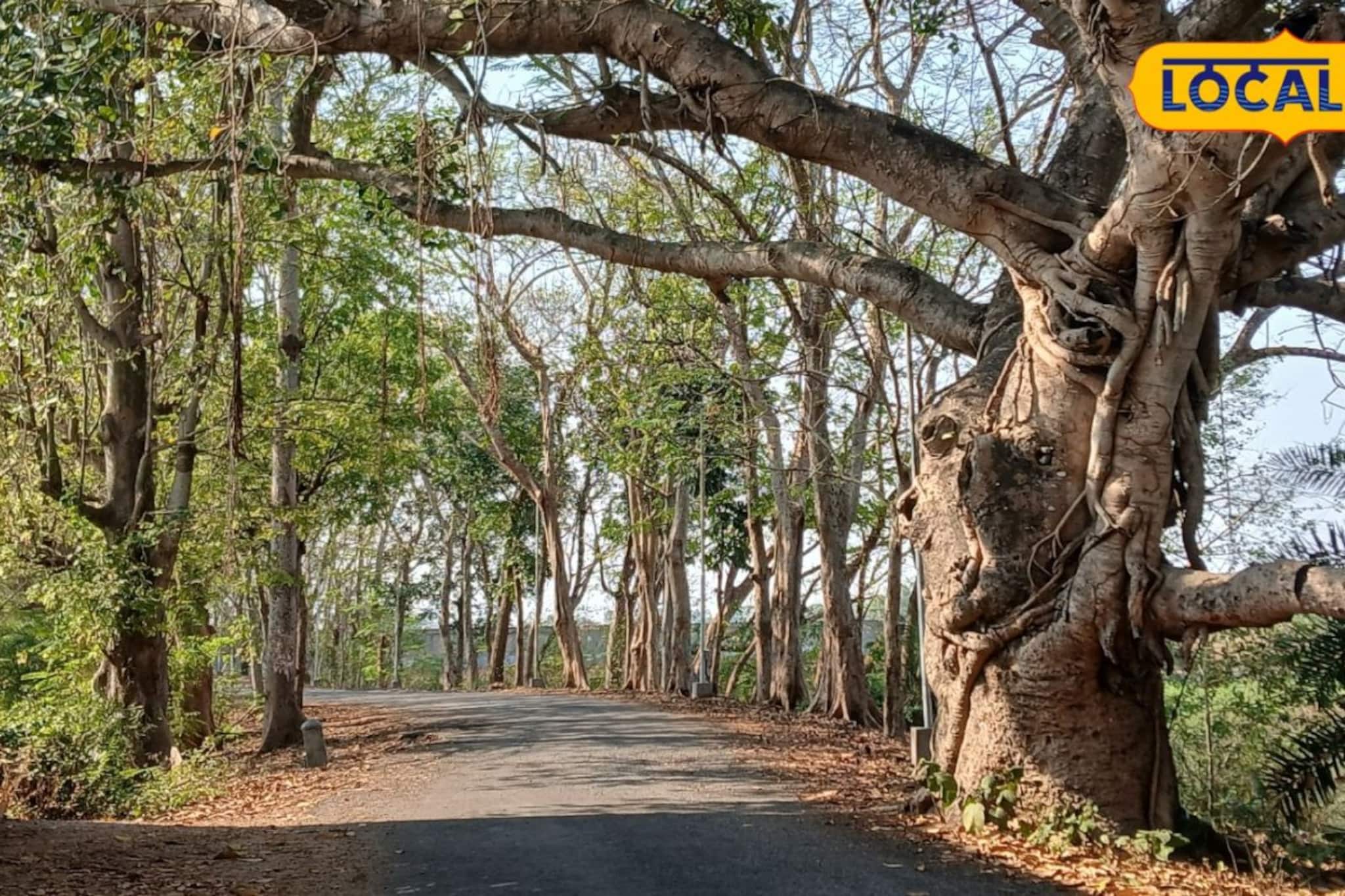 শহরের কোলাহল ভুলে হাওড়ার এই নির্জন পথ! মন ভাল করার এক জাদুকরী ওষুধ