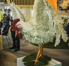 সত্যিই বিক্রি হচ্ছে চিনা প্লাস্টিক ডিম?কলকাতা পোল্ট্রি মেলায় হাতেনাতে ধরা পড়ল আসল সত্য!