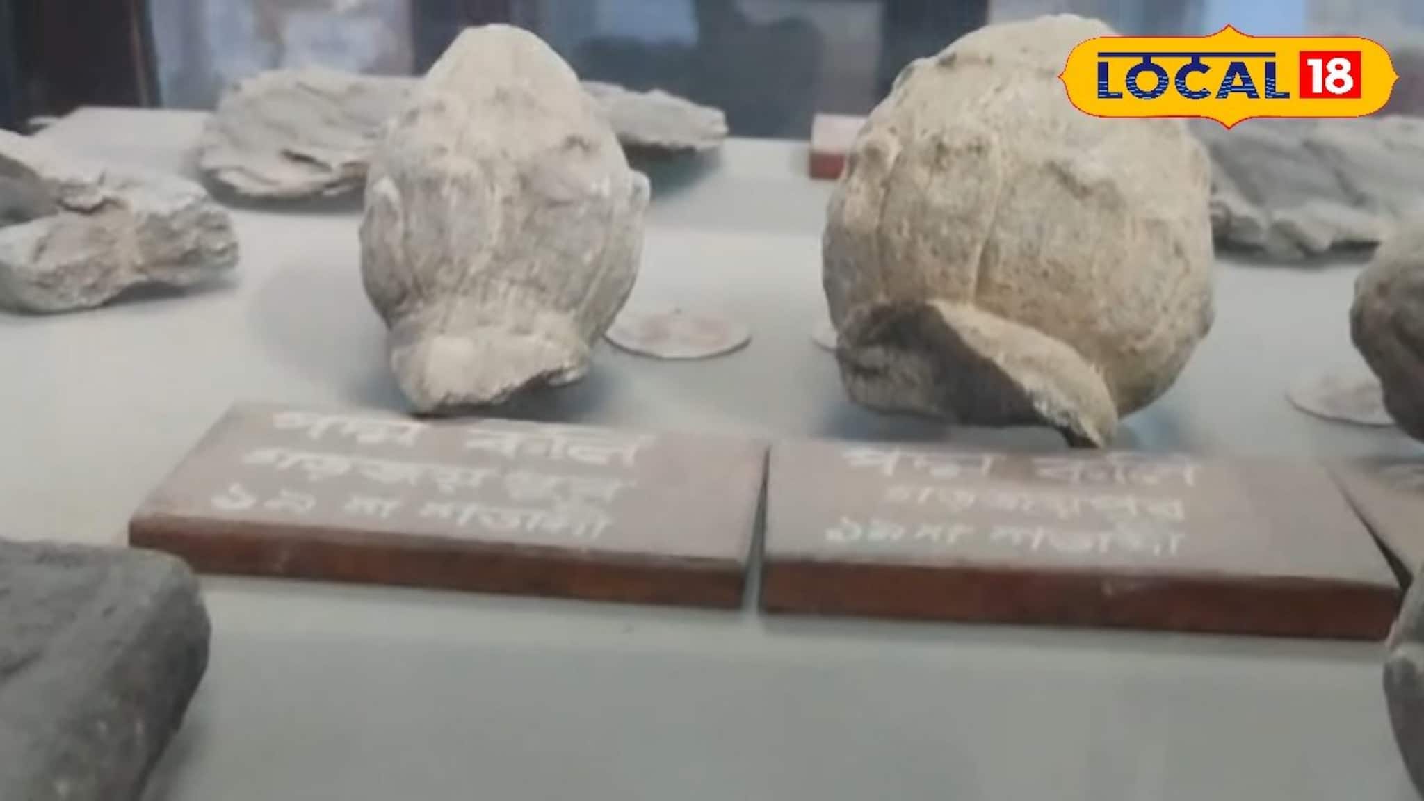 ইতিহাসের খনি, পর্যটকদের জন্য মাস্ট-ভিজিট! পুরুলিয়ার বিবর্তনের সাক্ষী জেলা সংগ্রহশালা