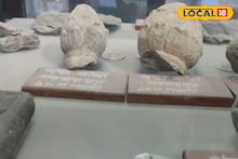 Purulia District Museum: ইতিহাসের খনি, পর্যটকদের জন্য মাস্ট-ভিজিট! পুরুলিয়ার বিবর্তনের সাক্ষী জেলা সংগ্রহশালা, খোলা থাকে সপ্তাহে দু'দিন