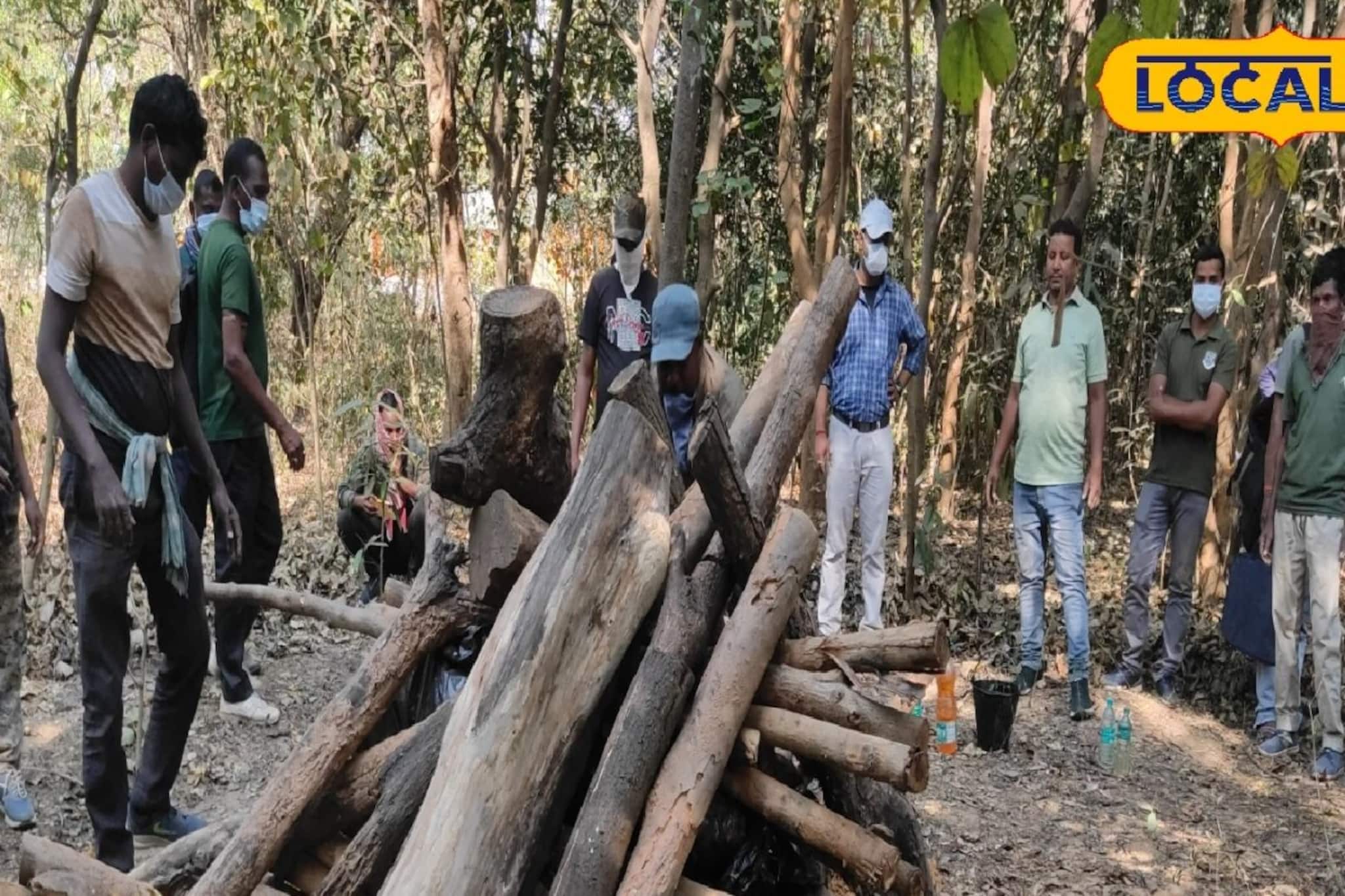 পাহাড়ের ঢালে উদ্ধার হস্তি শাবকের পচাগলা দেহ, কাঠ আনতে গিয়ে চোখে পড়ল ভয়াবহ ছবি
