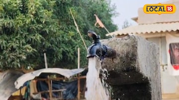 গ্রীষ্মের