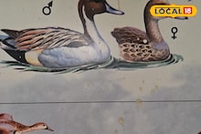 Tourist Spot: পথ ভুলেছে সাইবেরিয়া-চিনের পাখির দল, আগ্রহ কমছে পর্যটকদের! পুরুলিয়ার জনপ্রিয় এই জায়গা এখন ফাঁকা