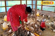 Business Idea: হাঁস-মুরগি অতীত! এই পাখি চাষে বাজিমাত বড়া গ্রামের গৃহবধূর, দিনে হাজার ডিম বিক্রি করে হচ্ছে অঢেল আয়