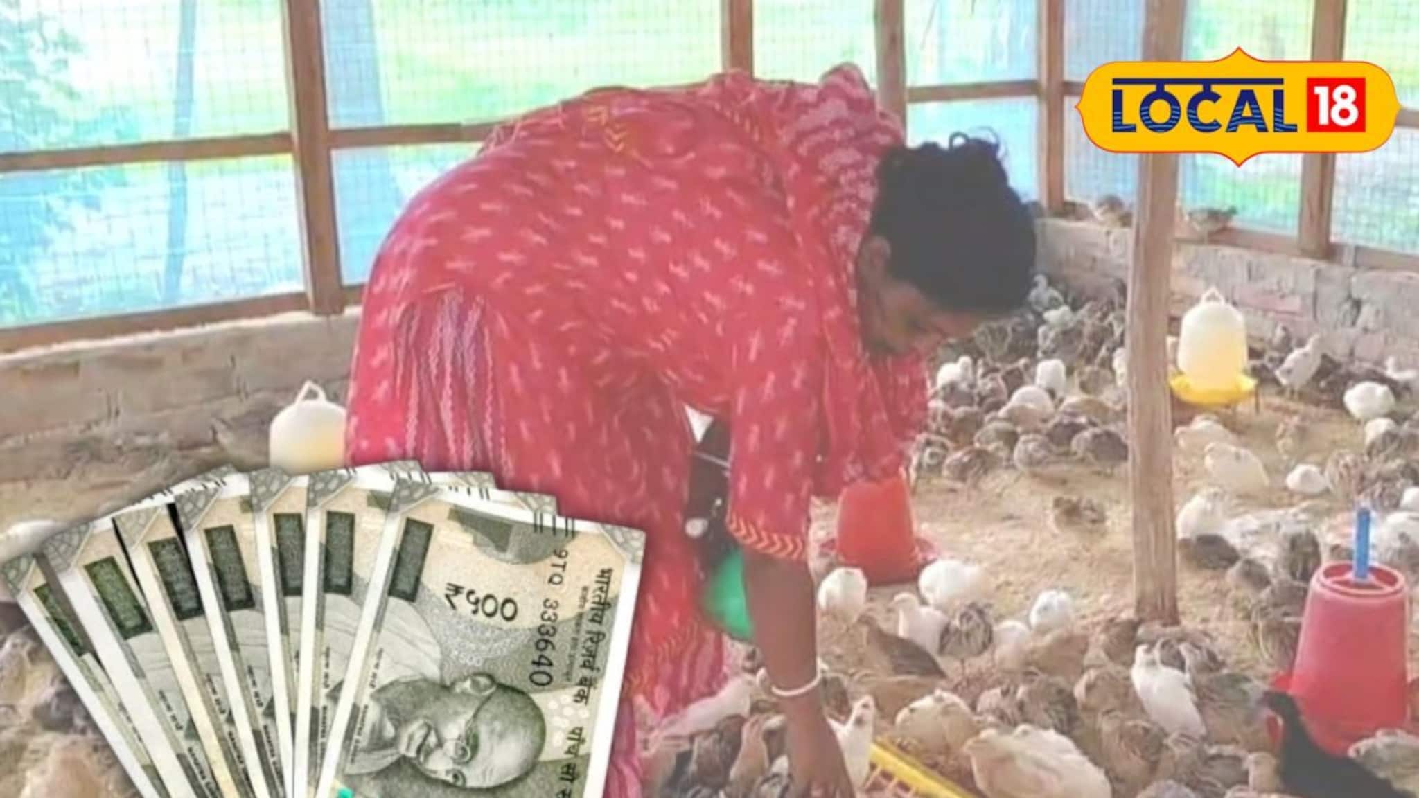 হাঁস-মুরগি অতীত! এই পাখি চাষে বাজিমাত বড়া গ্রামের গৃহবধূর, দিনে হাজার ডিম বিক্রি