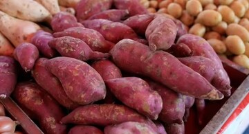 বাজার ছেয়ে গেছে নকল রাঙা আলু!কেনার আগে দুটি বিষয় নজরে রাখুন,দোকানদার ঠকাতে পারবেন না