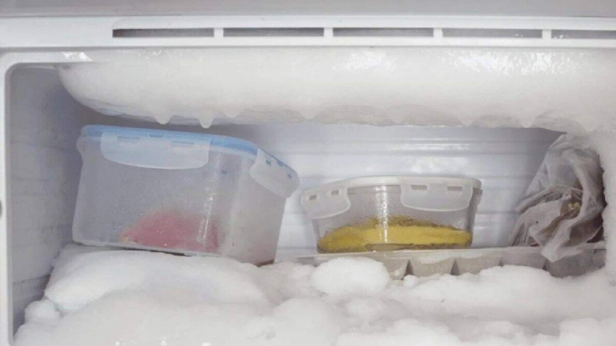 গরমে ফ্রিজের এই ৩ 'সেটিংস' না বদলালে খাবার পচে যাবে! খারাপ হবে মেশিনও! সঠিক উপায় কোনটা?