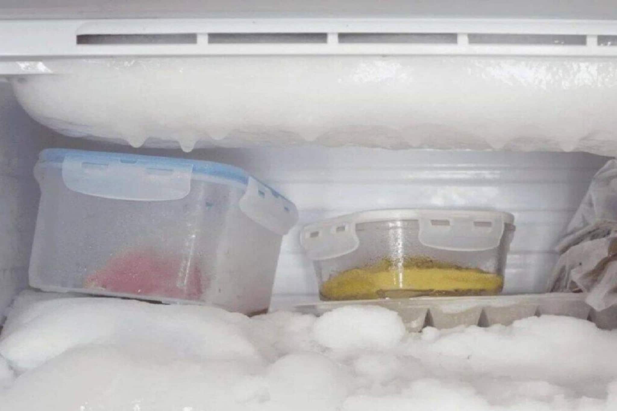 গরমে ফ্রিজের এই ৩ 'সেটিংস' না বদলালে খাবার পচে যাবে! খারাপ হবে মেশিনও! সঠিক উপায় কোনটা? গরমে ফ্রিজের এই ৩ 'সেটিংস' না বদলালে খাবার পচে যাবে! খারাপ হবে মেশিনও! সঠিক উপায় কোনটা?