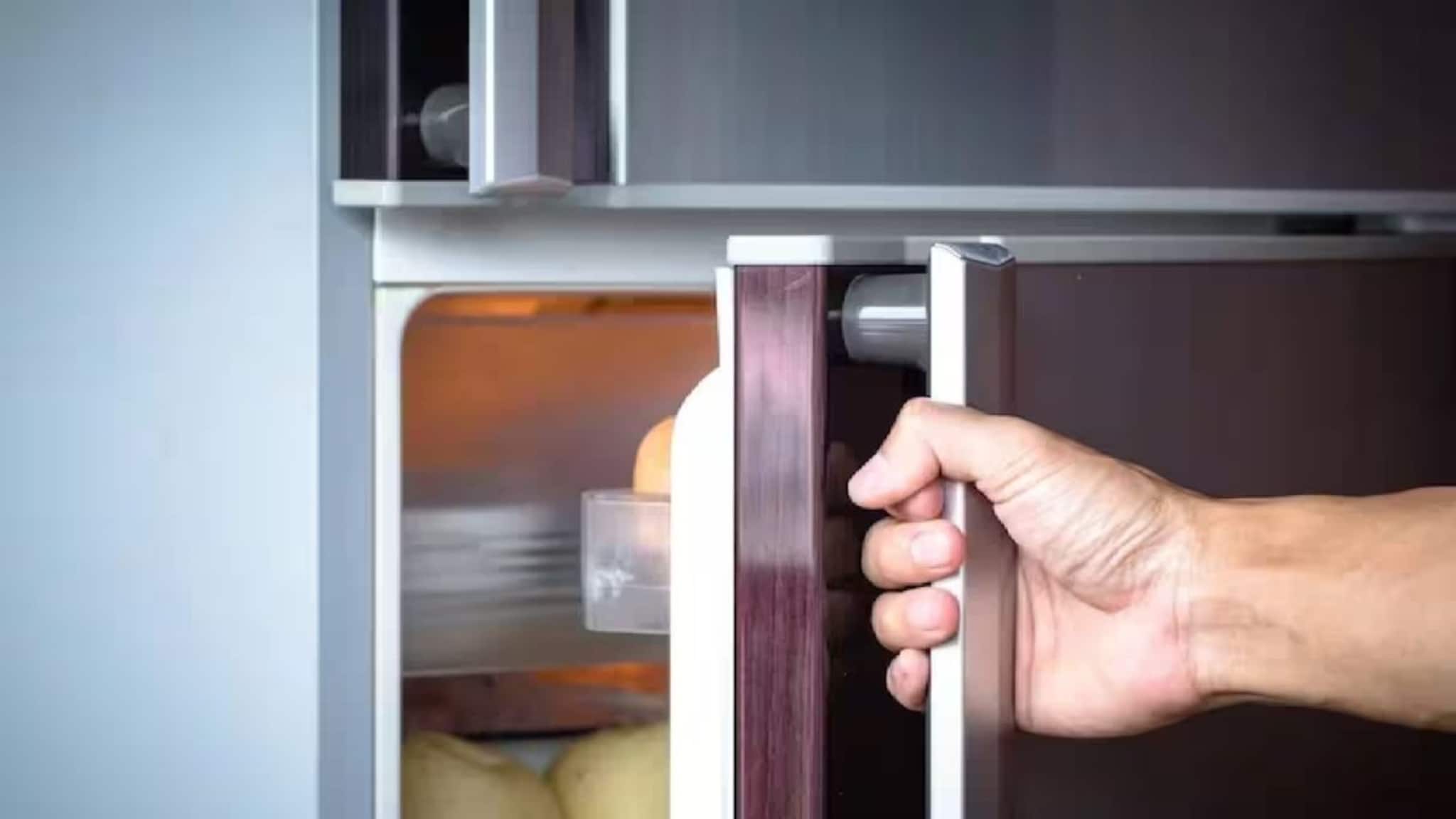 Refrigerator Electricity Bill: ৩০ সেকেন্ড ফ্রিজের দরজা খুলে রাখলেই ইলেকট্রিক বিল দ্বিগুণ? সত্যিটা জানলে অনেকেই চমকে উঠবেন